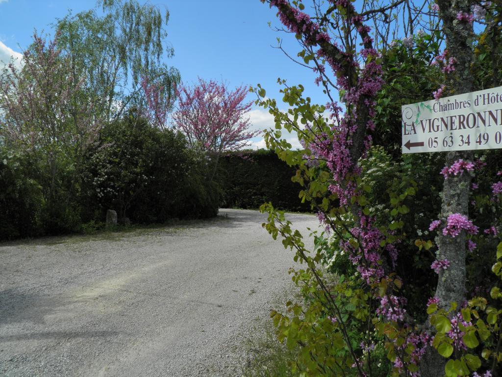 Chambres D'Hotes La Vigneronne Senouillac Экстерьер фото